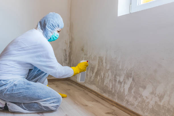 Hvac And Air Duct Mold Remediation inspection of HVAC system in Millstone Township